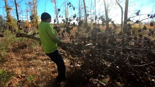 An Old Ghost Town Cemetery? (Forgotten Cemetery Hidden Behind Newer Graves)