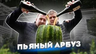 Попытались приготовить АЛКО АРБУЗ! Он же Бахыт Компот! Он же Крюшон!