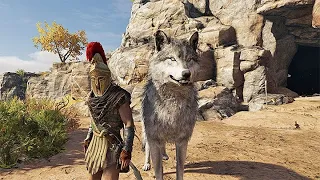 Гайд как приручить животноe в Assassins Creed Odyssey