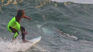 Young surfer unknowingly shares wave with a shark, and his dad captures it on camera