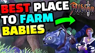 The SECRET Way to farm SWIFTCLAWS - Albion Online