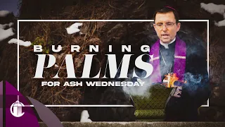 Where Do Ash Wednesday Ashes Come From?