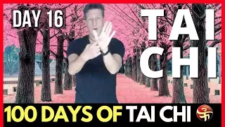The Difference Between Tai Chi and Qigong | 100 Days of Tai Chi | Learn Tai Chi at Home