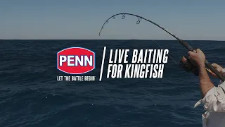 Live Baiting For Kingfish | Start Your Own Battle