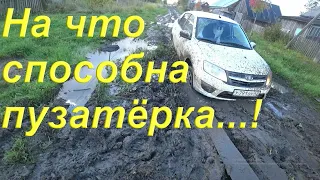 Дела по дому/ Гранта с самоблокировкой на бездорожье/ Сбор Сливы на участке/ Засадил Гранту в грязь