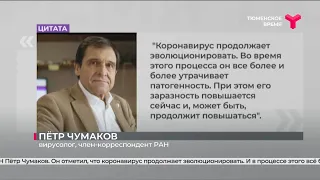 Как коронавирус приспосабливается к человеческой популяции?