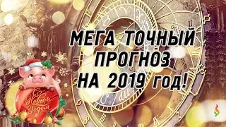 Кому повезёт‭ ‬в‭ ‬2019‭ ‬году‭? ‬Предсказания сильнейших ясновидящих на‭ ‬2019‭ ‬год Свиньи