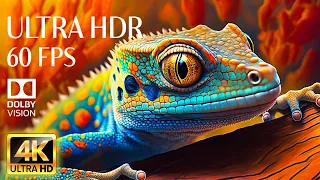 4K HDR 60fps Dolby Vision with Animal Sounds & Calming Music (Colorful Dynamic) #35
