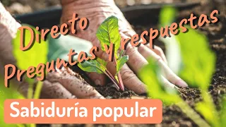 Sabiduría popular acerca del huerto ✓ Directo de preguntas y respuestas