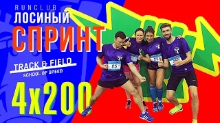 Спринт 4 по 200 RunClub ЛОСИНЫЙ