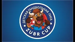 Детская гандбольная лига, финал среди юношей 2003-2004 и 2005-2006 гг. рождения