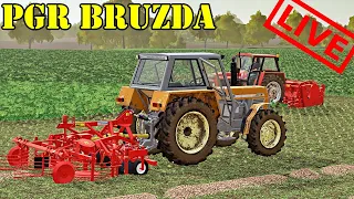 Wybieram Moderatora -  PGR BRUZDA - LIVE 🚜 ☆ FARMING SIMULATOR 19  - Anton pl