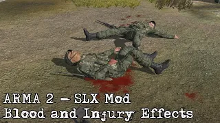 ARMA 2 - SLX Mod (Blood and Injury Effects)