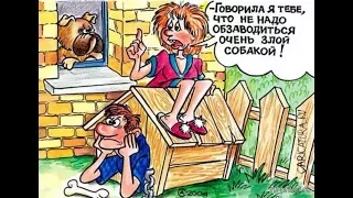 Весёлые картинки и карикатуры про домашних животных