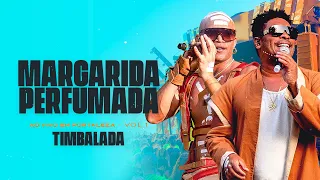 Timbalada - Margarida Perfumada (Ao Vivo em Fortaleza: Vol 1/ 2022)