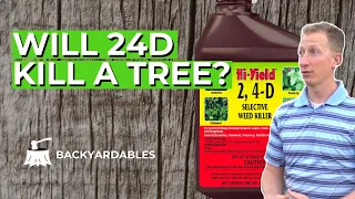 Will 24D Kill A Tree? | How To Kill A Tree