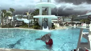 Sharknado 3: Oh Hell No! - Official Extended Trailer