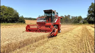 Moisson de blé 2022 Massey Ferguson 530