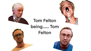 Tom Felton being………….Tom Felton