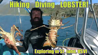 Hiking Diving and LOBSTER!!! St John USVI - Episode 12