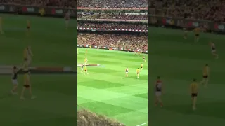 Melbourne vs Hawthorn Semi Final crowd reaction!!!