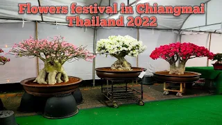 Flowers festival in Chiangmai Thailand 2022