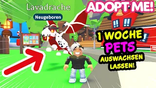 Ich habe 1 GANZE WOCHE ADOPT ME GESPIELT & geprüft wie viele PETS ich auswachsen lassen kann...