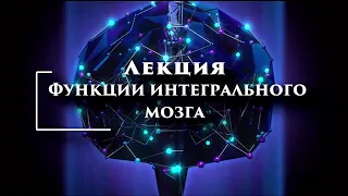 Цзе Кун. Метафизика мозга. Функции интегрального мозга