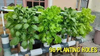 How to build Vertical Hydroponic System (96 planting holes) || hydroponic farming