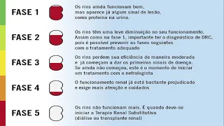 TRANSPLANTE RENAL: estágios/fases da doença renal crônica. Tx renal. Tx rim.