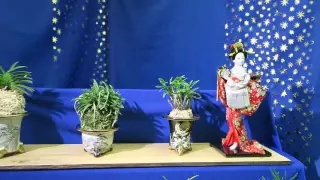 Выставка орхидей в Тимирязевском музее 2016