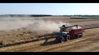 ☆ Żniwa Pszenicy Na Wielką Skale W Firmie ROLBUD ☆ 2 Kombajny Na Polu | Claas Lexion&NewHolland CX