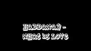 Haddaway - What Is Love (Baby Dont Hurt Me Organ Bassline Remix)