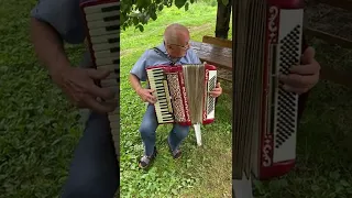 HORCH DE LUXE PIANO ACCORDION (4/4)