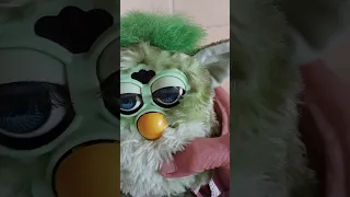 FURBY ADULTO EDIÇÃO 1998