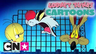 Looney Tunes Cartoons | ¡Piolín VS. Silvestre; Wile E. Coyote VS. Correcaminos! | Cartoon Network