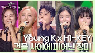 건물 사이에 피어난 장미 (Rose Blossom) - Young K X H1-KEY (하이키) [더 시즌즈-악뮤의 오날오밤] | KBS 230908 방송