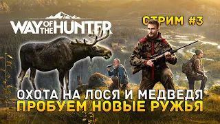 Стрим Way of the Hunter #3 - Охота на Лося и Медведя. Пробуем новые ружья