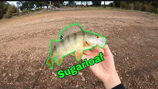 Finally fishing again | Sugarloaf