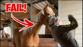 I ALMOST HAD A BIG HORSE FAIL! lol