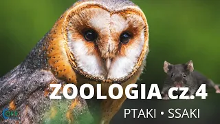 Zoologia cz.4 - PTAKI i SSAKI - Spotkania maturalne Off Course z BIOLOGII