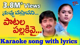 PATALA PALLAKIVAI KARAOKE SONG WITH LYRICS, NUVVU VASTHAVANI