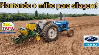 Plantio do milho para silagem |Plantadeira tatu T2SI e Ford 4600 1979 | Milho agroceres 8088