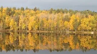 The last wilderness in Europe | Ivalo, Finalnd | VisitFinland