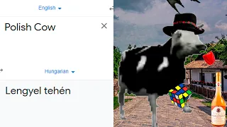 Polish Cow in different languages meme (Part 3)