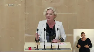 2020-05-28 119 Karin Greiner SPÖ   Nationalratssitzung vom 28 05 2020 um 0905 Uhr – ORF TVthek playl