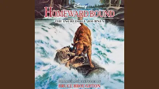 Homeward Bound (Revised)