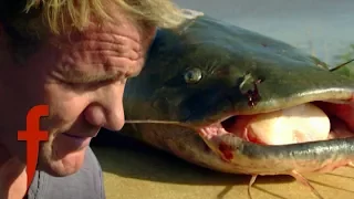Gordon Ramsay Learns How To Catch Catfish | The F Word
