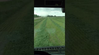 8400 Hesston Swather 2017 spring oats