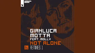 Not Alone (deadmau5 Remix)